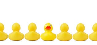 Add the ducks are lined up