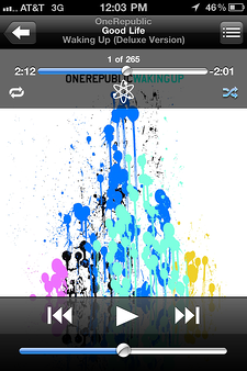 iPhone Screen Shot