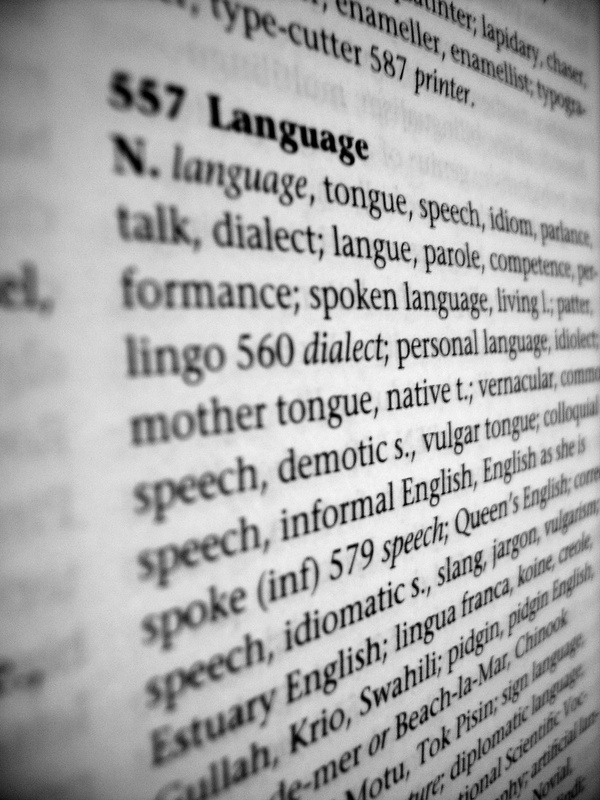 language defined in the dictionary