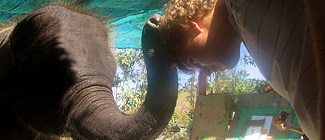 Playing with an elephant in Thailand