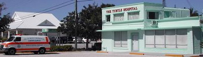 The Turtle Hospital in Key West, Fl.