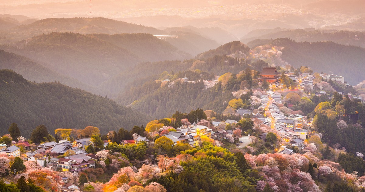 The hillside town of Yoshinoyama in Nara, Japan, its houses and cherry trees glowing at dusk with misty mountains behind.