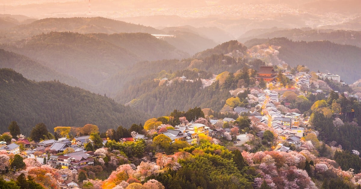 Japan Work Visa for Teachers: The Current Document Checklist